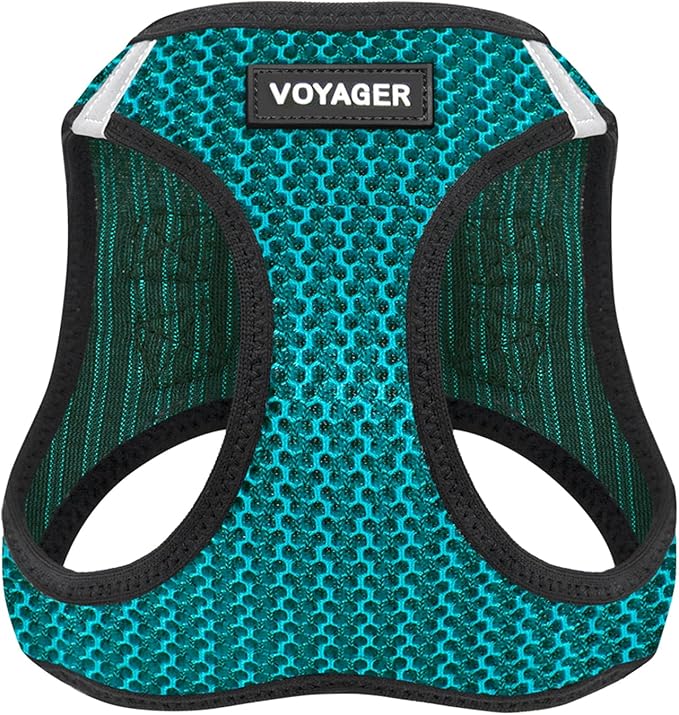Voyager Step-in Air Dog Harness - All Weather Mesh, Reflective, No Pull Harness for Small, Medium Dogs, Cats - Secure with Hook & Loop Fastener, Buckle, Double D-Rings - Turquoise 2-Tone, M