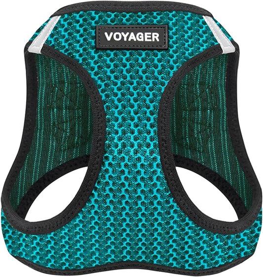 Voyager Step-in Air Dog Harness - All Weather Mesh, Reflective, No Pull Harness for Small, Medium Dogs, Cats - Secure with Hook & Loop Fastener, Buckle, Double D-Rings - Turquoise 2-Tone, L