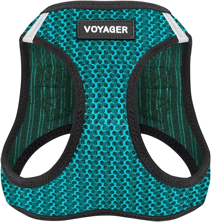 Voyager Step-in Air Dog Harness - All Weather Mesh, Reflective, No Pull Harness for Small, Medium Dogs, Cats - Secure with Hook & Loop Fastener, Buckle, Double D-Rings - Turquoise 2-Tone, M