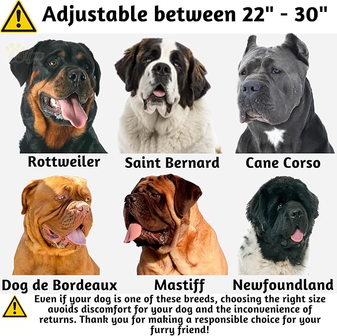 ADITYNA Heavy Duty Leather Dog Collar for Extra-Large Dogs - Soft and Strong Leather Dog Collar for XL Dog Breeds (Extra-Large: Fit 22" - 30" Neck, Black)