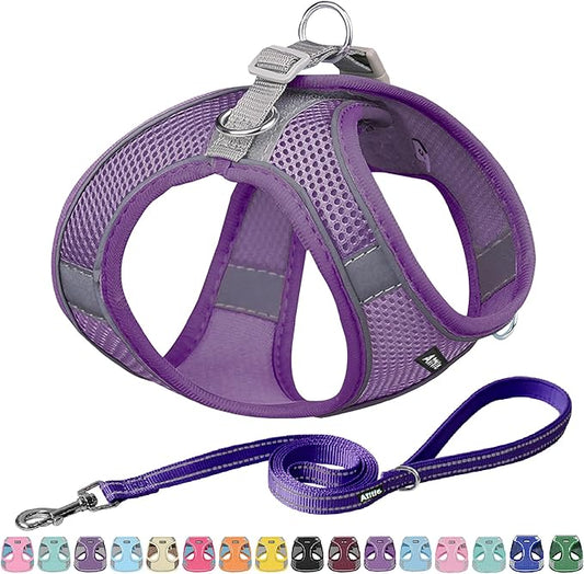 AIITLE Dog Harness, Spring No-Pull Cat Harness with a Leash, Adjustable Reflective Dog Vest, Cat Harness Escape Proof, Outdoor Walking, Camping for Extra Small Dogs and House Cats Pure Purple XXXS