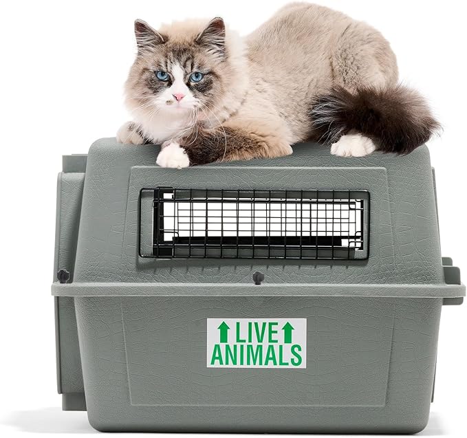 Petmate Sky Kennel - For Air and Travel, Airline Approved Dog Crate for Pets up to 15 lbs, Heavy Duty Dog Kennel, Made in the USA- 21 Inches