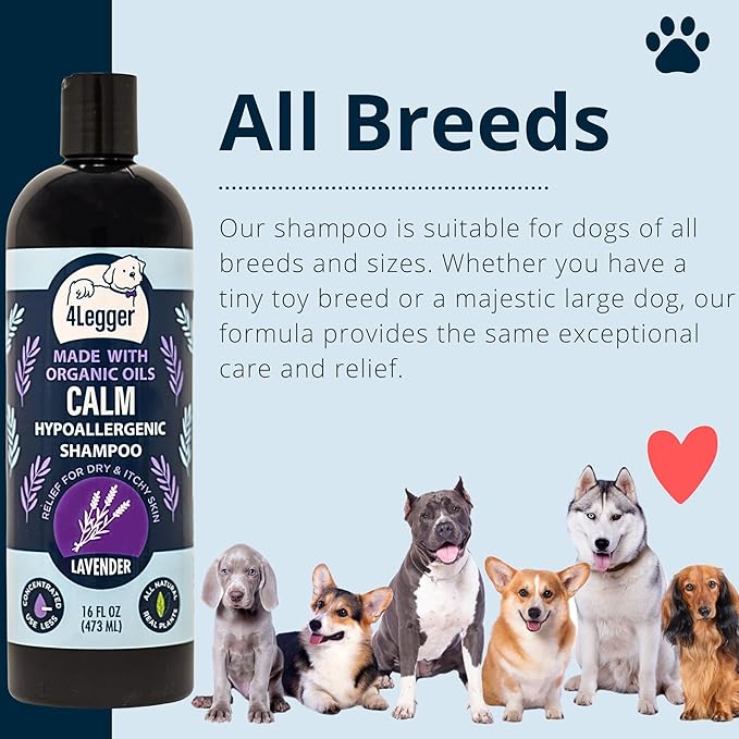 Calm All Natural Lavender Dog Shampoo - Organic Dog Shampoo for Dry Itchy Skin - Calming and Hypoallergenic for Sensitive Skin - Concentrated - USA