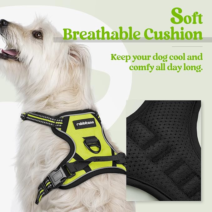 rabbitgoo Dog Harness, No-Pull Pet Harness with 2 Leash Clips, Adjustable Soft Padded Dog Vest, Reflective No-Choke Pet Oxford Vest with Easy Control Handle for Small Dogs, Wild Lime, XS