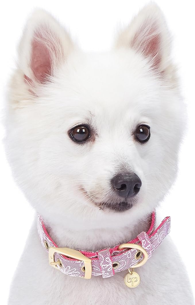 Blueberry Pet 4 Colors Glam Life Lace Floral Stamping Adjustable Dog Collar in Iconic Pink, Neck 9-12.5", for Small Breed