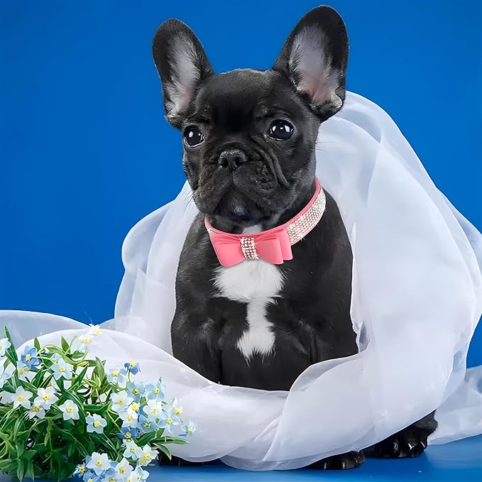 Rhinestone Bowtie Small Dog Collar and Leash Set, Diamond Puppy Collars Bow Crystal Bling Jeweled Glitter Girl Female Adjustable for XXSmall X-Small Small Medium Large Dogs (Red-1,XXLarge)