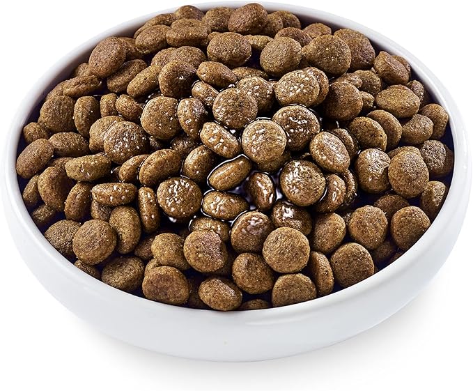 Applaws Taste Toppers, Bone Broth for Dogs, Natural Dog Food Topper, 6 Count, Limited Ingredient, Grain Free, Meal Topper for Dogs, Beef Bone Broth with Turmeric & Parsley, 7.10fl oz Pouches