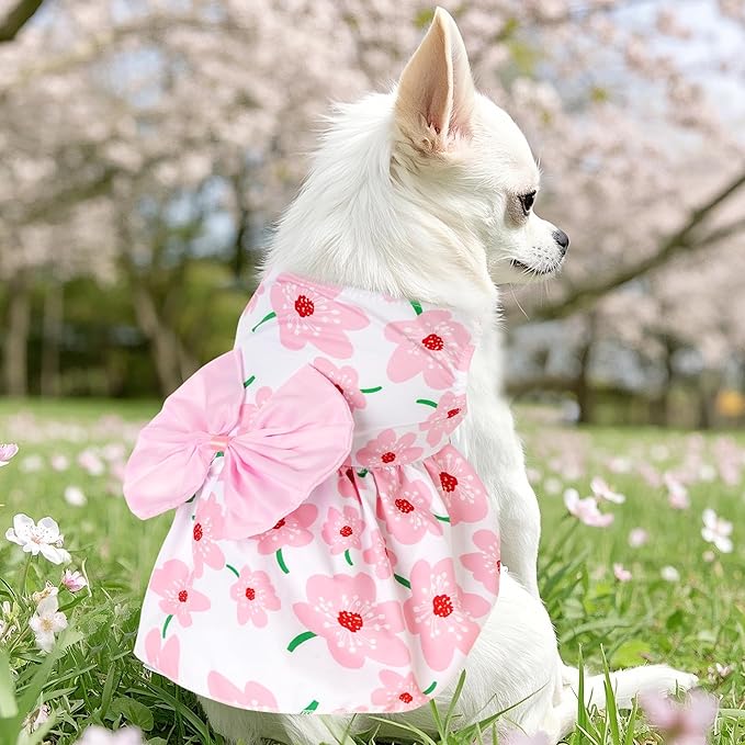 choyaxo Floral Dog Dress Cute Dog Skirt Pet Dress Summer Pet Clothes for Puppy Small Cats