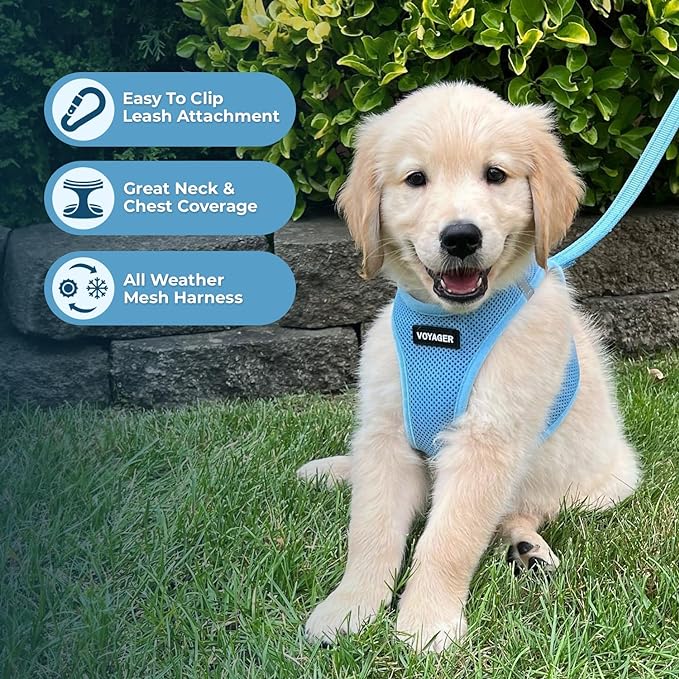 Voyager Step-in Air Dog Harness - All Weather Mesh, Reflective, No Pull Harness for Small, Medium Dogs, Cats - Secure with Hook & Loop Fastener, Buckle, Double D-Rings - Baby Blue, XL