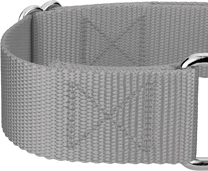 Country Brook Petz 1 1/2 Inch Martingale Heavy Duty Nylon Adjustable Dog Collar for Small, Medium, Large Breeds - Vibrant 17 Color Selection (Silver, Extra Large)