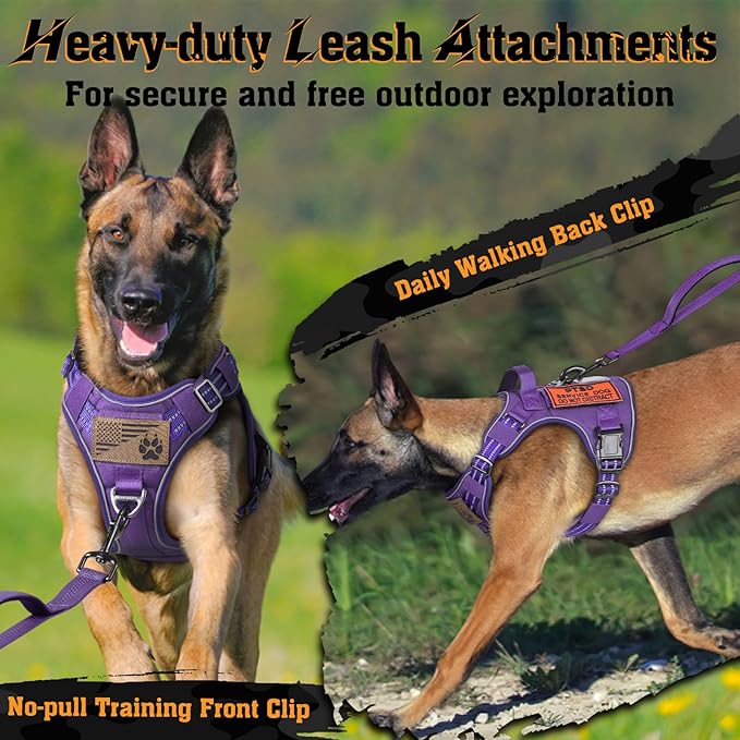 rabbitgoo Dog Harness for Large Dogs No Pull, Tactical Service Dog Vest with Molle and Control Handle, Adjustable and Reflective Military Pet Harness for Easy Walking and Training, Purple, L