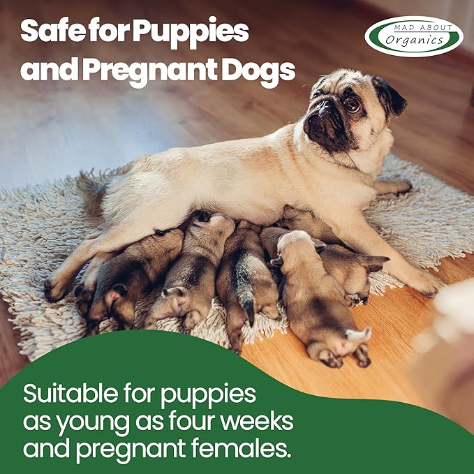 Woodland Adventure Pure Castile Dog Shampoo - Gentle Moisturizing Formula for All Skin Types, Crafted with Pure Ingredients, Mild and Nourishing for Dogs 4 Weeks & Up, 16 oz