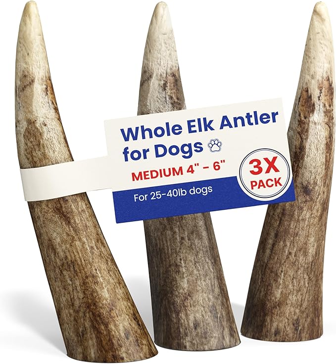 Medium 3 Pack Whole Elk Antlers for Dogs [Long Lasting] - Elk Bones for Dogs Humanely Sourced - Elk Horns for Dogs - Dog Elk Antler Chews - Antlers for Dogs Medium 25-40 Pounds