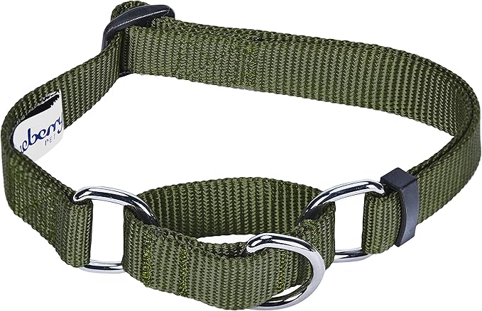 Blueberry Pet Essentials Martingale Safety Training Dog Collar, Military Green, Large, Heavy Duty Nylon Adjustable Collars for Dogs