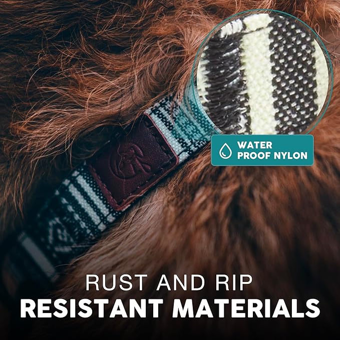 Embark Urban Dog Collar – Dog Collar Stylish & Durable Nylon Dog Collar for Large Dogs, Small Dogs & Medium Dogs.Comfortable Pet Collar Strong Buckles for Any Size Breed (Lunar, Large)