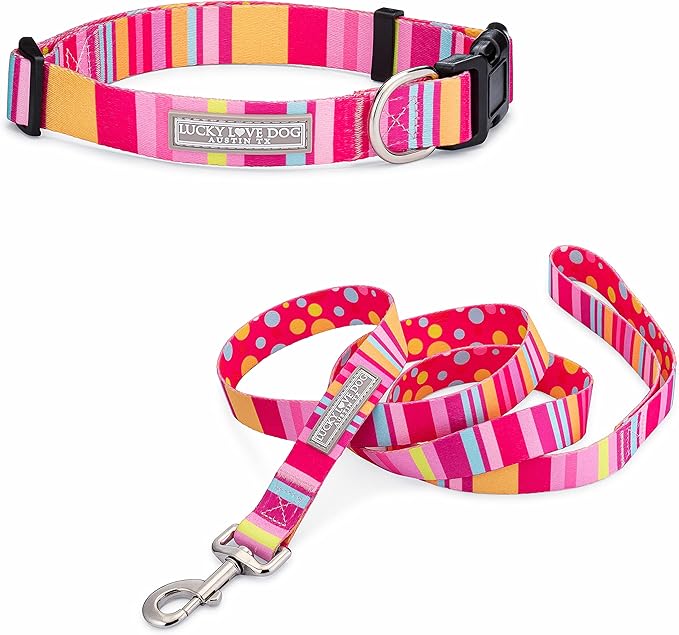 Lucky Love Dog, Summer Stripes Dog Collar and Leash Set, Yellow, Pink, Blue Summer Dog Collar and Leash, Cute Dog Combo Set for Girl Boy Dogs - (Extra Large, Molly Combo)