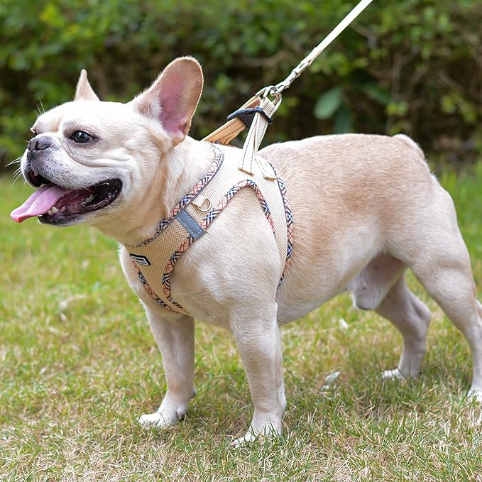 Mercano Soft Mesh Dog Harness and Leash Set, No-Chock Step-in Reflective Breathable Lightweight Easy Walk Escape Proof Vest Harnesses with Safety Buckle for Small Medium Dogs, Cats (Beige, XXS)