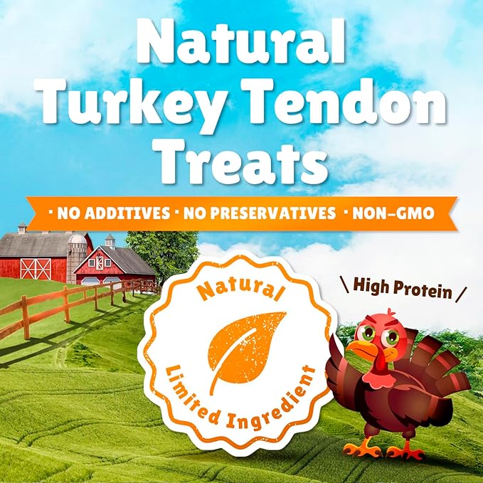 Gootoe Soft Turkey Tendon Dog Treat– Natural Chewy Snack, 100% USA-Sourced, Premium Training Chew, Reseal Value Bag, Ideal for Small & Senior Dogs, Soft Strip with Pumpkin Jumbo Pack, 1 lb (Pack of 1)