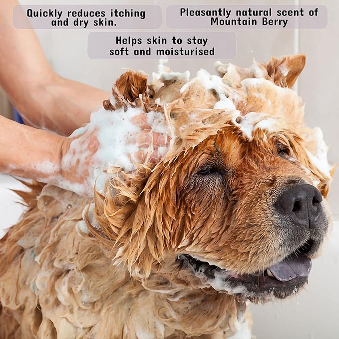 Pet Silk Shampoo - Long Lasting Fresh Scent - Clean and Condition Pet's Fur - Gentle Odor Remover for Puppies, Dogs and Cats (Mountain Berry - 16 oz)