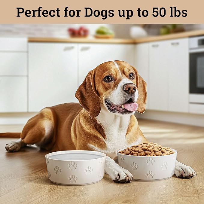 Ceramic Dog Bowl Set of 2 with Anti-Skid Base - 6.5" Wide x 2.5" Tall Ceramic Dog Bowls Medium Sized Dogs - 3 Cup Capacity Food and Water Bowls for Dogs - Rubber Bottom Pet Bowl Set of 2 Medium Size