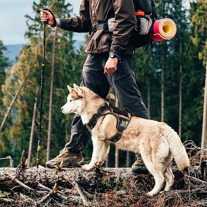 WINGOIN Tactical Dog Harness for Small Dogs, Heavy Duty No Pull Dog Harness with Handle, Adjustable Reflective Military K9 German Shepherd Dog Vest for Training, Walking, Hiking, Camo (S)