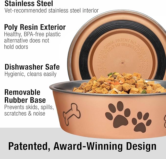 Loving Pets Bella Dog Bowls- Stainless Steel Dog & Cat Bowls - Spill Proof Dog Food Bowl, Cat Bowl, Puppy Essentials & Pet Supplies Great for Home & Travel (Medium 20-25 lbs, Champagne)
