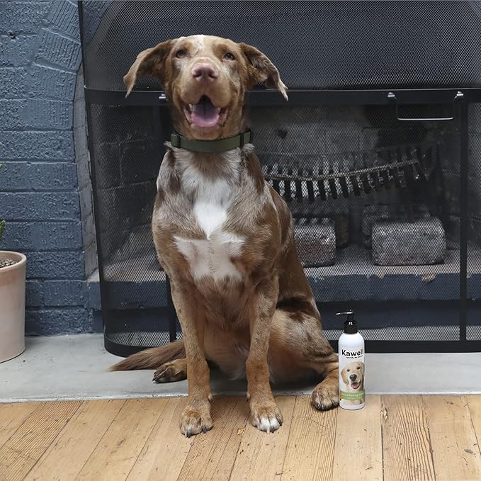 Kawell USA Natural Dog Shampoo for Dry Sensitive Itchy Skin, Hot Spots - Anti-Inflammatory, Antifungal, Anti-Shedding Grooming Shampoo with Matico Healing Properties - for Healthy Skin and Coats, 12oz