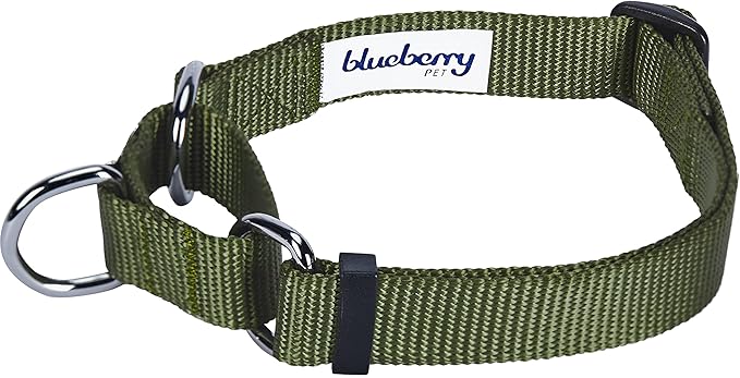 Blueberry Pet Essentials Martingale Safety Training Dog Collar, Military Green, Large, Heavy Duty Nylon Adjustable Collars for Dogs