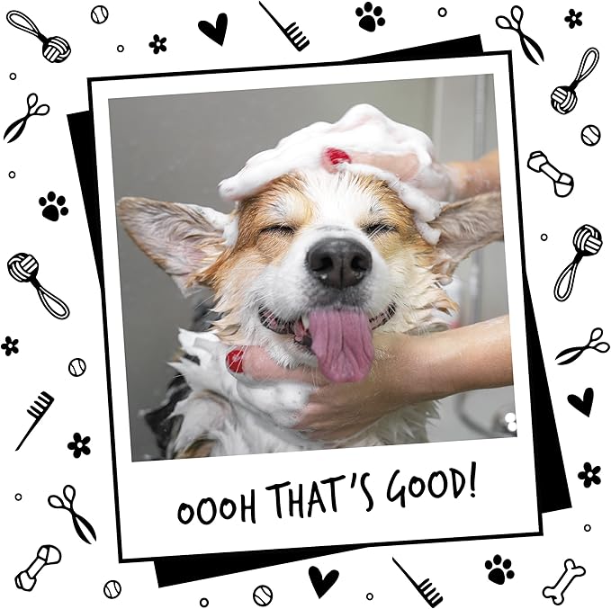 Baby Fresh Dog Shampoo Dog Grooming Shampoo for Smelly Dogs with Baby Powder Scent (33.8 FL Oz, 1 Pack)