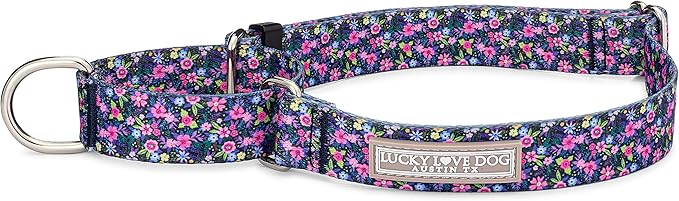 Lucky Love Dog Martingale Collar, Premium No Slip Collar for Medium Dogs, Flower Martingale Collar for Girl Dogs, Great for Whippets, Greyhounds, and More (Primrose, Medium)