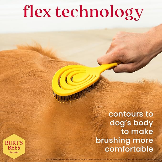 Burt’s Bees for Pets Detangling Pin Brush for Dogs with Medium to Long Hair with Handle Made from Recycled Plastics Collected from Coastal Communities | Dog Brush Removes Tangles and Loosens Matting