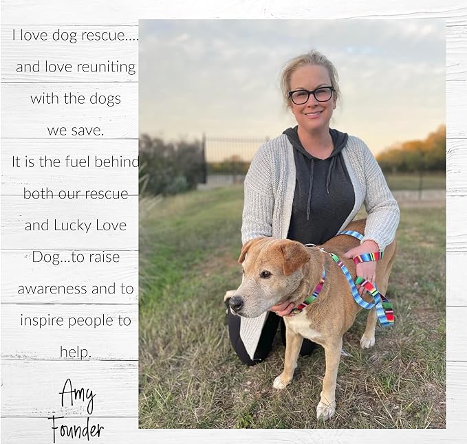 Lucky Love Dog Wide Dog Collar - Adjustable, Durable, Soft Webbing, & Comfortable 1.5 inch Wide Collar for Dogs Male and Female - in Nacho Pattern with Strong Buckle, Large Size