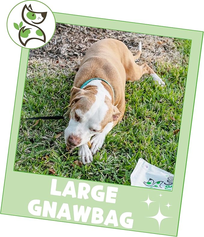 Nature Gnaws Variety Pack for Large Dogs (12 Count) - Bully Sticks, Beef Tendons and Tripe Twists for Dogs - Natural Long Lasting Beef Dog Chew Bones - Rawhide Free