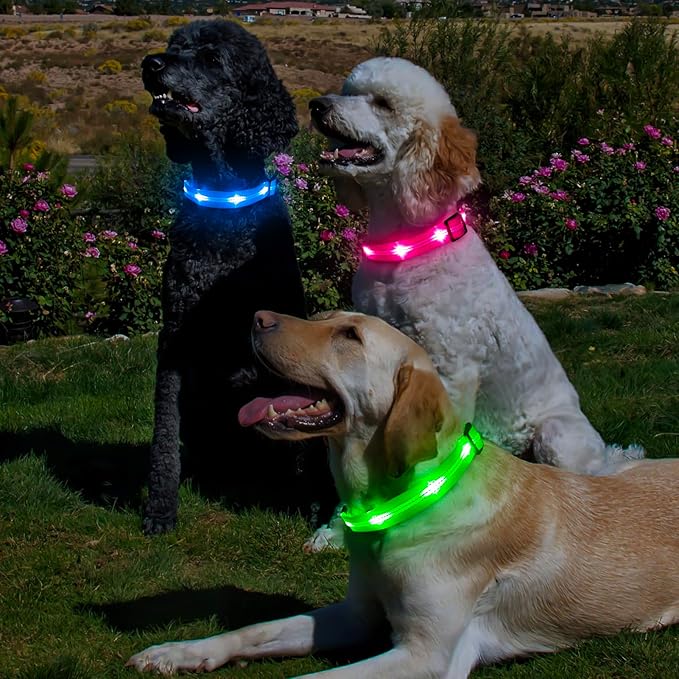BSEEN Light Up Dog Collar - Glowing LED Dog Collar, Reflective Dog Collar, Adjustable Lighted Dog Collar, Rechargeable Puppy Collar for Night Walking (Green-II, Small)