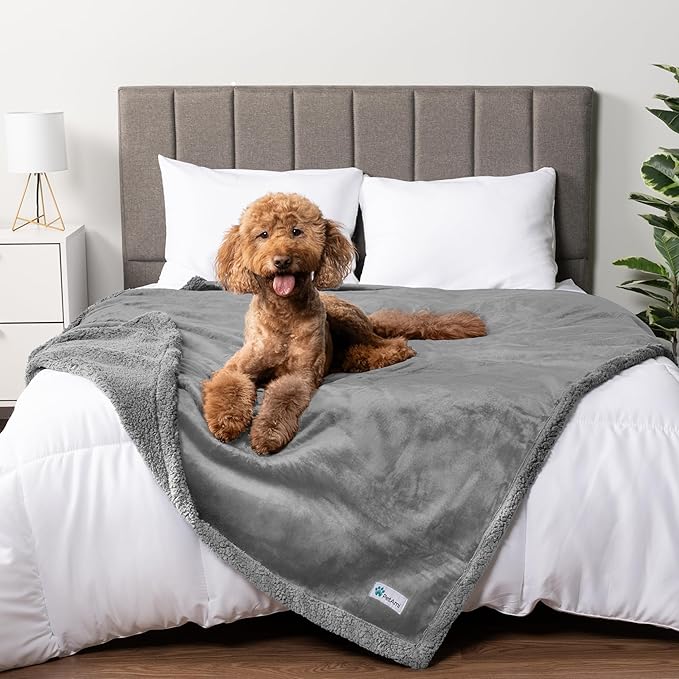 PetAmi Waterproof Dog Blanket for Bed, XL Dog Pet Blanket Couch Cover Protection, Sherpa Fleece Leakproof Bed Blanket for Crate Kennel Sofa Furniture Protector, Reversible Soft Plush 80x60 Light Gray