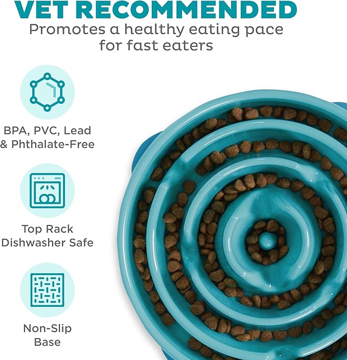 Outward Hound Fun Feeder Slo Bowl, Slow Feeder Dog Bowl, Large/Regular, Turquoise