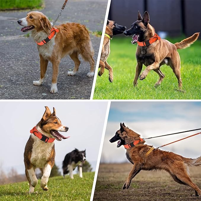 KCUCOP Tactical Dog Collar, Heavy Duty Dog Collar with Handle and Metal Buckle, Military Thick Dog Collars for Medium and Large Dogs(Orange-M-Reflective, 1 Patch)