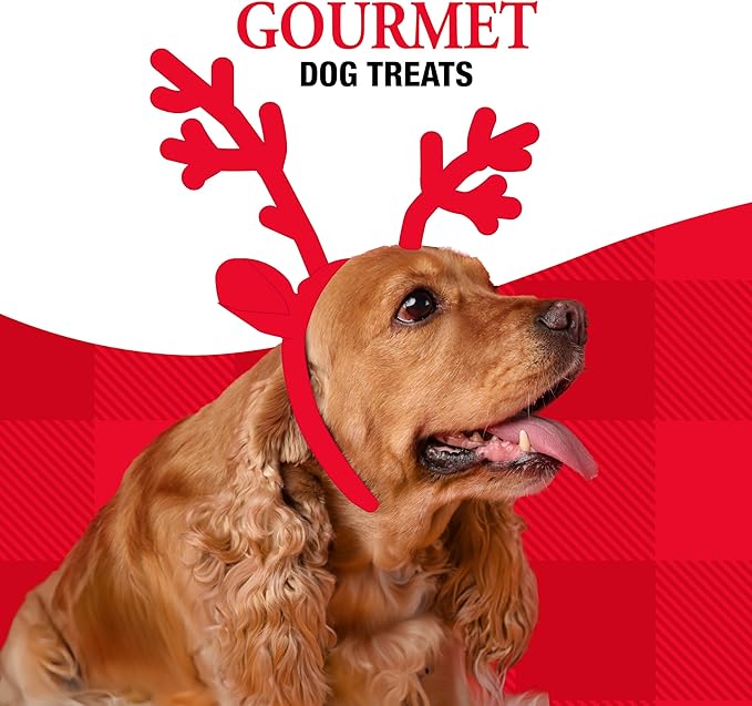 Good 'n' Fun Holiday Chews, Treat Your Dog to Fun Shaped Long Lasting Chews, Made Ingredients