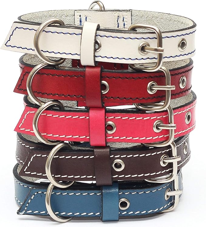 Premium Leather Collars with Stainless Steel Buckles (12"-15", Chocolate)