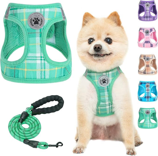 BEAUTYZOO Small Dog Harness and Leash Set,Step in No Chock No Pull Soft Mesh Dog Harnesses Reflective for Extra-Small/Small Medium Puppy Dogs and Cats, Plaid Dog Vest Harness for XS S Pets, Teal S