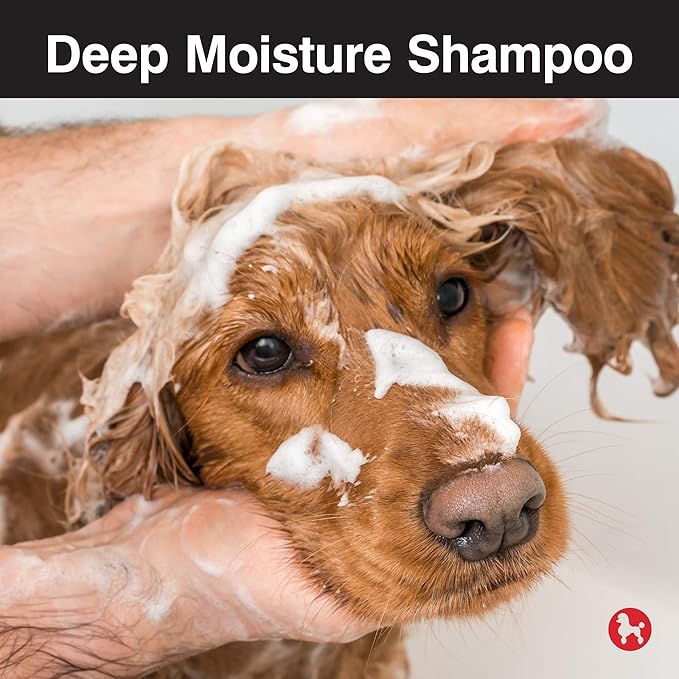 CHI for Dogs Deep Moisture Shampoo for Dogs | Best Moisturizing Dog Shampoo for Dogs With Dry Skin | Sulfate And Paraben Free, pH Balanced for Dogs, Made in the USA