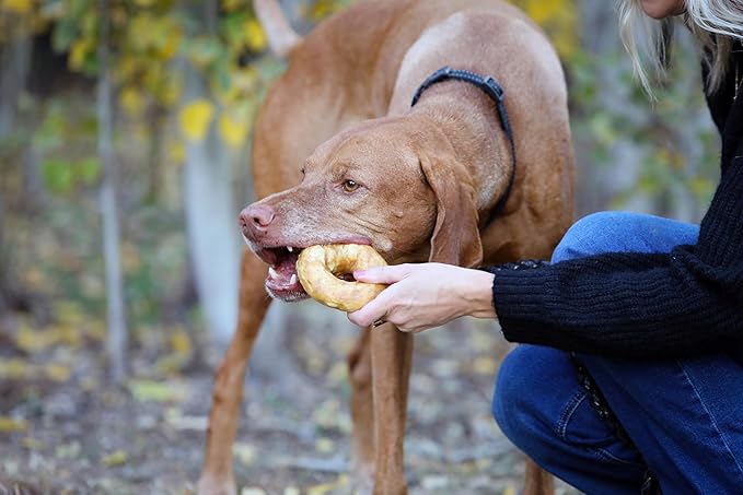 Collagen Dog Chew Hand-Rolled Bagel (Real Chicken)- 3ct