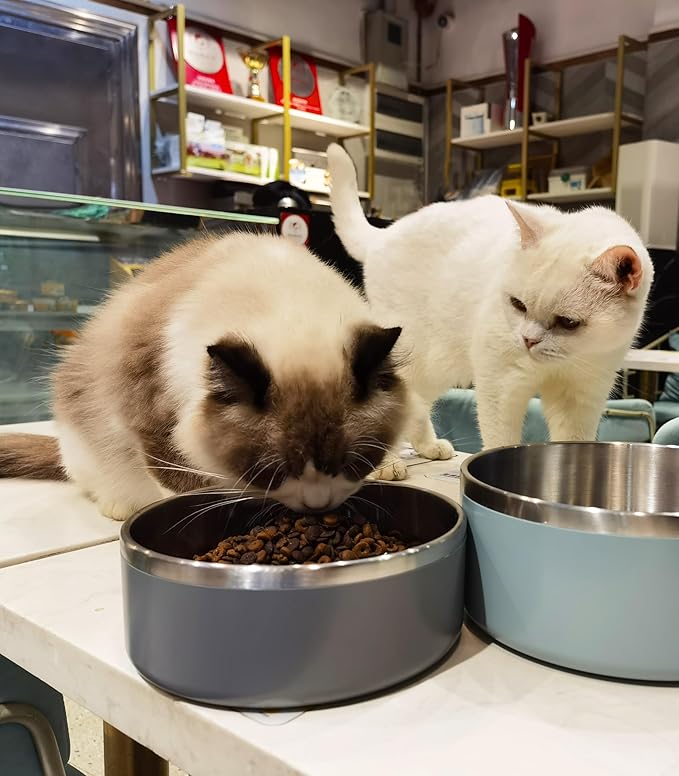 Stainless Steel Dog Bowls for Small Dogs, 40 Ounces/5 Cup Dog Food and Water Bowl, Double Wall Weighted Dog Dish, Rustproof Metal Pet Bowls with Non Slip Silicone Base