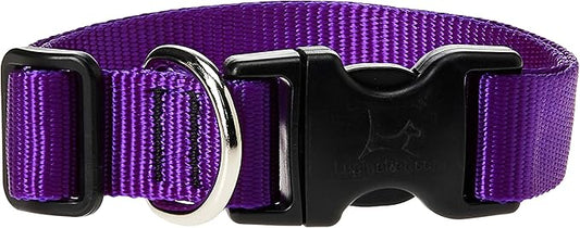 LupinePet Basics 1" Purple 12-20" Adjustable Collar for Medium and Larger Dogs