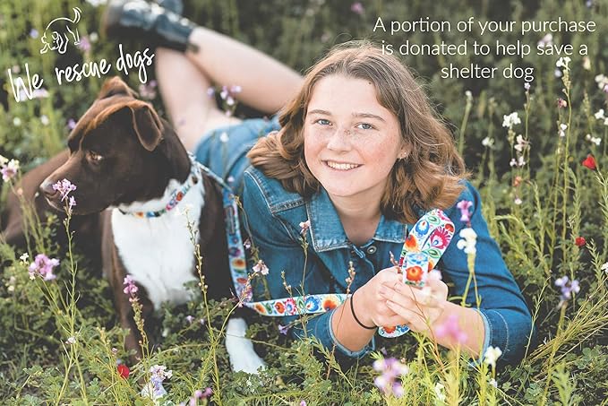 Lucky Love Dog - Easy Click Buckle Dog Collar with Leash Set Combo, Durable & Comfortable Collar for Male & Female Dogs, Pet Collar for Small to Large Dogs, Secure Fit - Ladybird Combo, X-Small