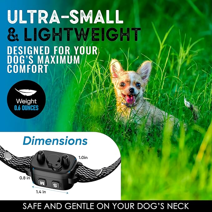 Tiny Bark Collar for Small Dogs 5-15 lbs and Puppies - No Shock Anti Barking Collar - Rechargeable Smart Collar for Dog Training with 7 Sensitivity Levels and 3 Beep&Vibration Modes (Black)