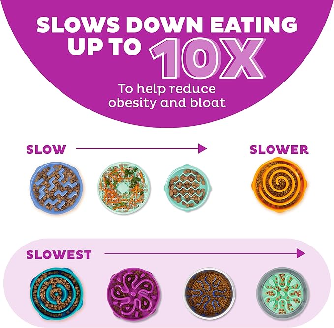 Outward Hound Fun Feeder Slo Bowl, Large Slow Feeder Dog Bowl, 4 Cups, Purple