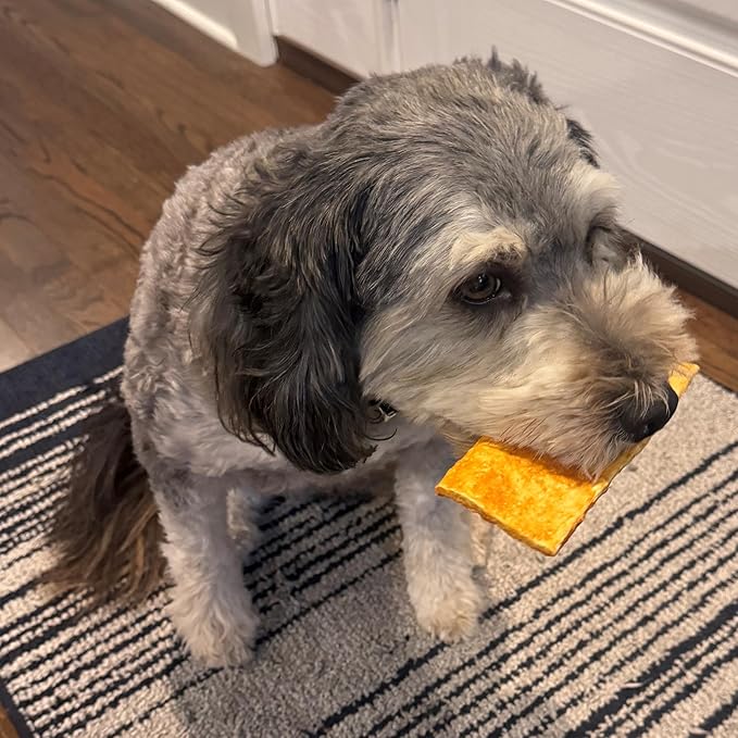 Fieldcrest Farms Nothin to Hide Flip Chips Dog Chews - Natural Rawhide Alternative Treats for Dogs, Collagen Based Snack for Moderate Chewers Up to 35lbs, Chicken Flavor - 2 Packs (16 Chips)