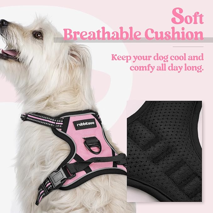 rabbitgoo Dog Harness, No-Pull Pet Harness with 2 Leash Clips, Adjustable Soft Padded Dog Vest, Reflective No-Choke Pet Oxford Vest with Easy Control Handle for Small Dogs, Pink, XS