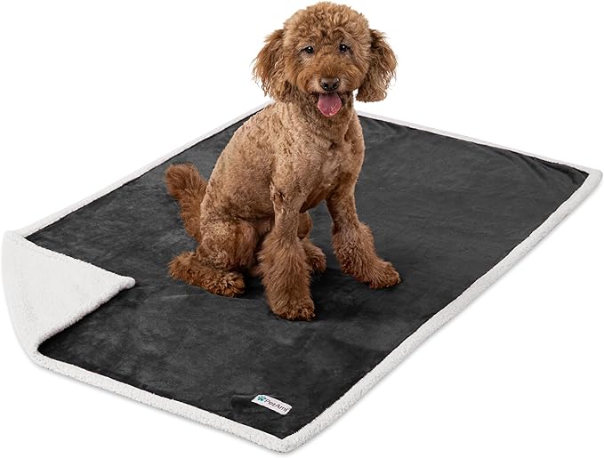 PetAmi WATERPROOF Dog Blanket for Bed, XL Dog Pet Blanket Couch Cover Protection, Sherpa Fleece Leakproof Bed Blanket for Crate Kennel Sofa Furniture Protector, Reversible Soft Plush 80x60 Charcoal